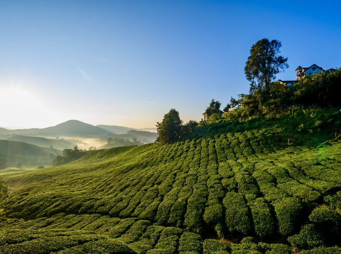 Prachtige natuur Maleisië